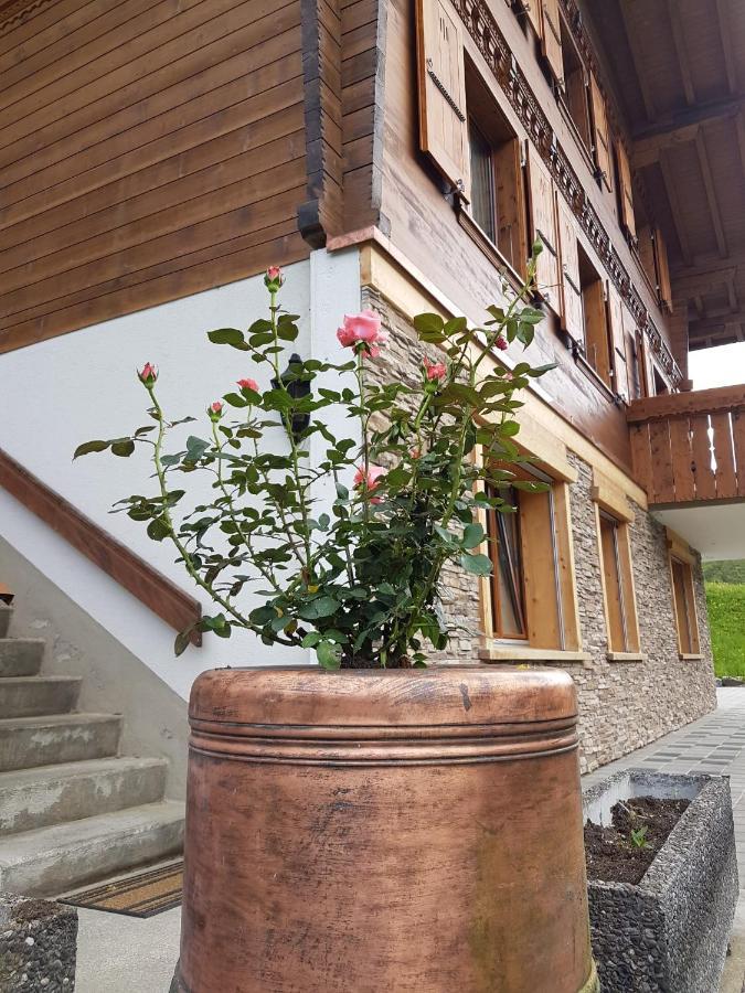 Chalet Grueneggli Адельбоден Екстер'єр фото