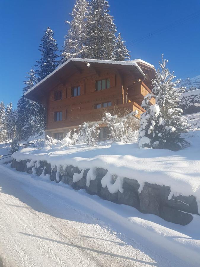 Chalet Grueneggli Адельбоден Екстер'єр фото
